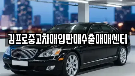 전북 전주시 완산구 중앙동4가 중고차매입 전문 김프로중고차매입판매수출매매센터