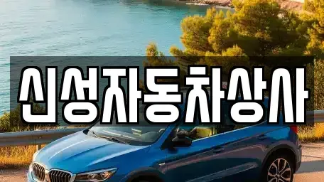 전북 정읍시 용계동 중고차매매 전문 신성자동차상사