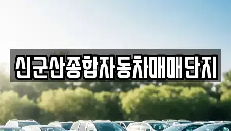 전북 중고차매매 전문 신군산종합자동차매매단지