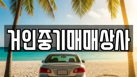 전북특별자치도 군산시 내초동 중고차매매,단기렌트카,중고차매입,장기렌트카,중고차,렌트카