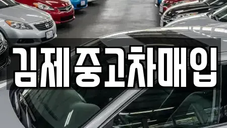 전북특별자치도 김제시 금구면 중고차 전문 김제중고차매입