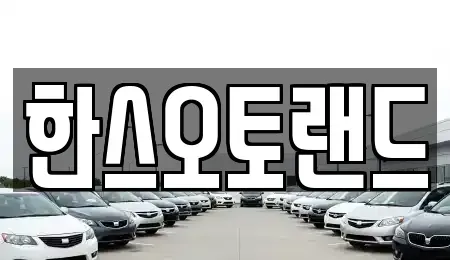전북특별자치도 김제시 백산면 중고차 전문 한스오토랜드