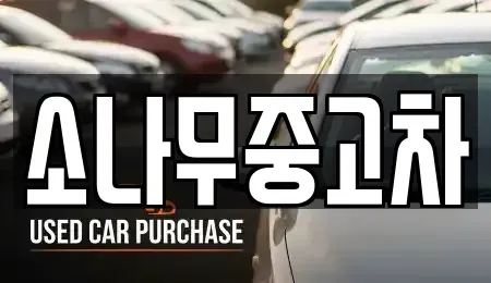 전북특별자치도 김제시 백산면 중고차매매 전문 소나무중고차