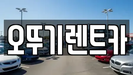전북특별자치도 단기렌트카 전문 오뚜기렌트카