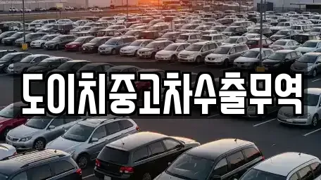 전북특별자치도 완주군 구이면 중고차 전문 도이치중고차수출무역
