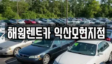전북특별자치도 익산시 단기렌트카 전문 해원렌트카 익산모현지점