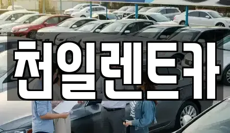 전북특별자치도 익산시 신흥동 렌트카 전문 천일렌트카