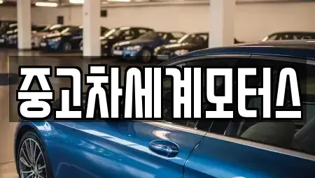 전북특별자치도 익산시 신흥동 중고차 전문 중고차세계모터스