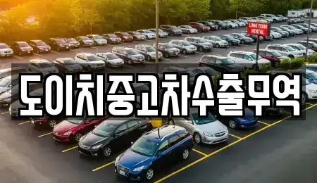전북특별자치도 익산시 신흥동 중고차매매 전문 도이치중고차수출무역