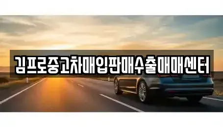 전북특별자치도 익산시 신흥동 중고차매입 전문 김프로중고차매입판매수출매매센터
