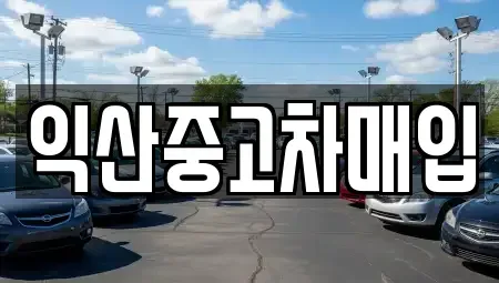 전북특별자치도 익산시 신흥동 중고차매입 전문 익산중고차매입