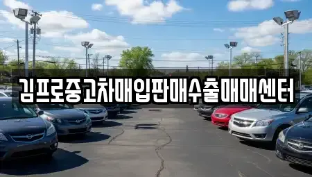 전북특별자치도 전주시 완산구 경원동1가 중고차매입 전문 김프로중고차매입판매수출매매센터
