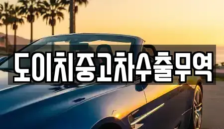 전북특별자치도 정읍시 상동 중고차 전문 도이치중고차수출무역