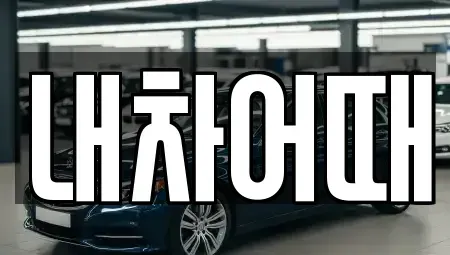 전북특별자치도 중고차 전문 내차어때