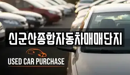 전북특별자치도 중고차매매 전문 신군산종합자동차매매단지