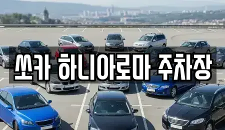 제주 서귀포시 동홍동 렌트카 전문 쏘카 하니아로마 주차장