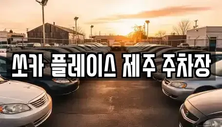 제주 서귀포시 성산읍 렌트카 전문 쏘카 플레이스 제주 주차장