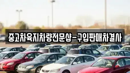 제주 서귀포시 성산읍 중고차 전문 중고차육지차량전문샵-구입판매차결사