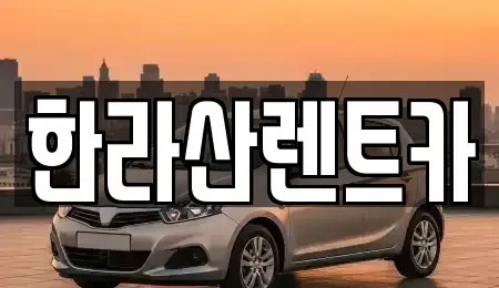 제주 제주시 도두일동 렌트카 전문 한라산렌트카