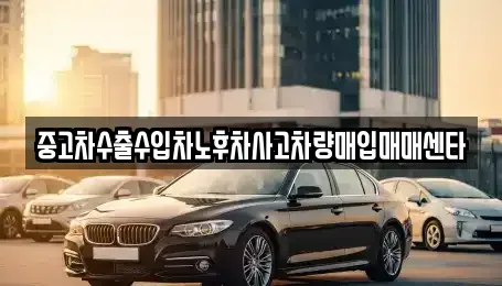 제주 제주시 도두일동 중고차매입 전문 중고차수출수입차노후차사고차량매입매매센타