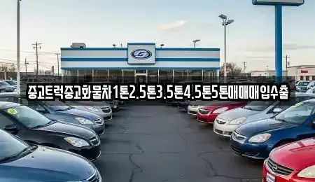 제주특별자치도 서귀포시 신효동 중고차 전문 중고트럭중고화물차1톤2.5톤3.5톤4.5톤5톤매매매입수출