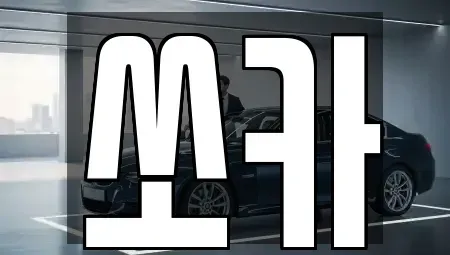제주특별자치도 제주시 오라삼동 렌트카 전문 쏘카