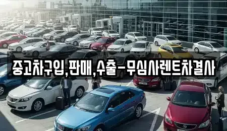 제주특별자치도 제주시 오라삼동 중고차매매 전문 중고차구입,판매,수출-무심사렌트차결사