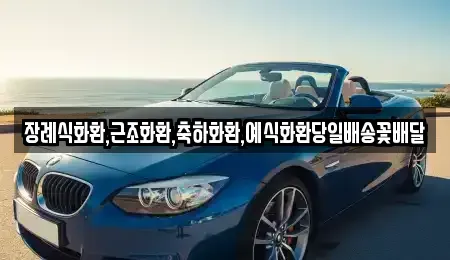 제주특별자치도 제주시 오라삼동 중고차매입 전문 장례식화환,근조화환,축하화환,예식화환당일배송꽃배달