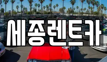 충남 금산군 금성면 렌트카 전문 세종렌트카