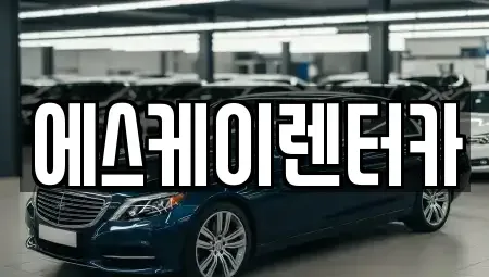 충남 금산군 금성면 렌트카 전문 에스케이렌터카