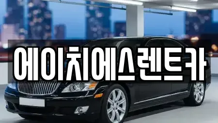 충남 당진시 용연동 렌트카 전문 에이치에스렌트카