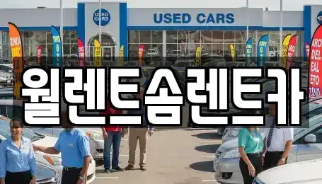 충남 당진시 용연동 렌트카 전문 월렌트솜렌트카