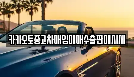 충남 부여군 충화면 중고차매매 전문 카카오토중고차매입매매수출판매시세