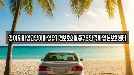 충남 부여군 충화면 중고차매입 전문 강아지파양고양이파양유기견보호소실종구조안락사없는보호센터