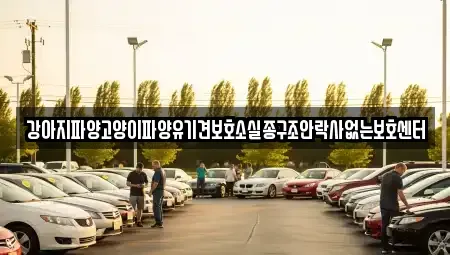 충남 부여군 홍산면 중고차매입 전문 강아지파양고양이파양유기견보호소실종구조안락사없는보호센터