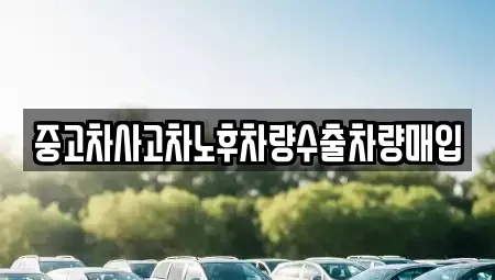 충남 부여군 홍산면 중고차매입 전문 중고차사고차노후차량수출차량매입