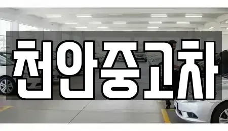 충남 중고차매매 전문 천안중고차