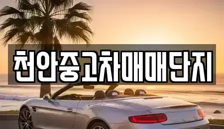 충남 중고차매매 전문 천안중고차매매단지
