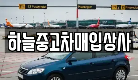 충남 중고차매입 전문 하늘중고차매입상사