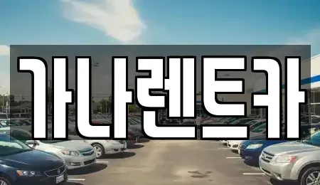 충남 천안시 동남구 성황동 렌트카 전문 가나렌트카
