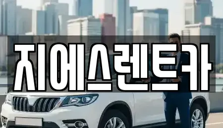 충남 천안시 동남구 성황동 렌트카 전문 지에스렌트카