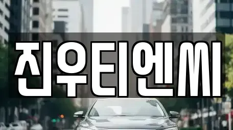 충남 천안시 동남구 성황동 중고차 전문 진우티엔씨