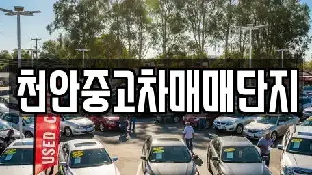 충남 천안시 동남구 성황동 중고차 전문 천안중고차매매단지