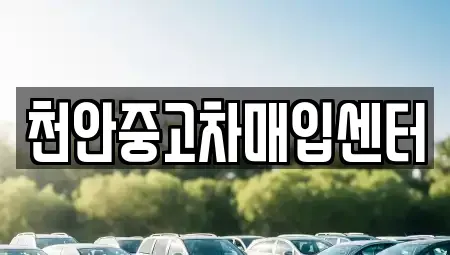충남 천안시 동남구 성황동 중고차 전문 천안중고차매입센터