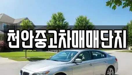 충남 천안시 동남구 영성동 중고차 전문 천안중고차매매단지