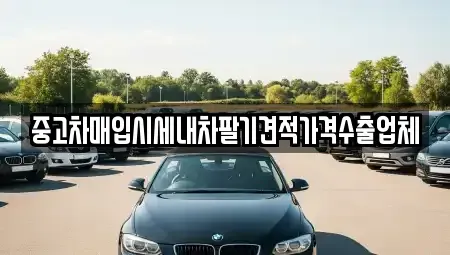 충남 천안시 동남구 영성동 중고차매입 전문 중고차매입시세내차팔기견적가격수출업체