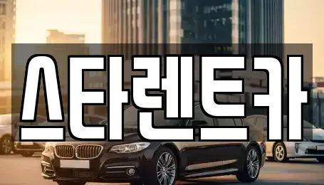 충남 천안시 동남구 용곡동 렌트카 전문 스타렌트카