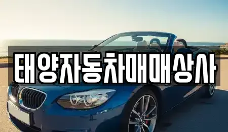 충남 천안시 동남구 용곡동 중고차매매 전문 태양자동차매매상사