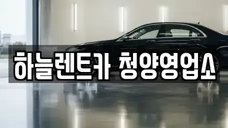 충남 청양군 비봉면 렌트카 전문 하늘렌트카 청양영업소