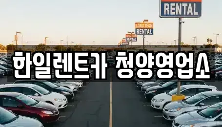 충남 청양군 비봉면 렌트카 전문 한일렌트카 청양영업소